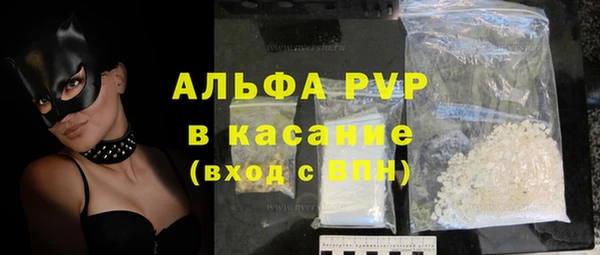 сатива Липки