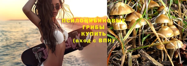 ешки Майский