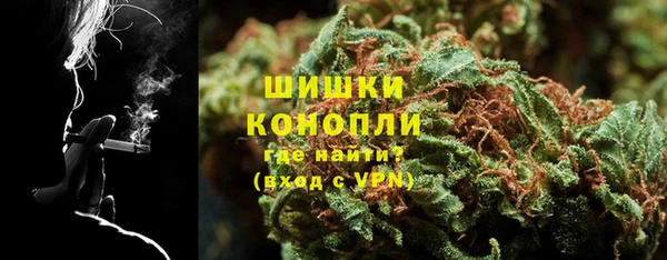 сатива Липки