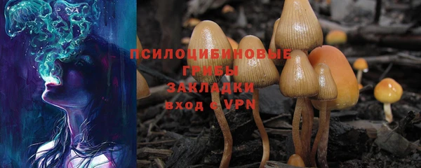 сатива Липки