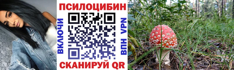Галлюциногенные грибы Psilocybine cubensis  KRAKEN как зайти  Черноголовка  сколько стоит 